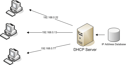 Setting a DHCP Server
